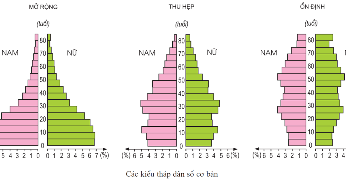 Vietnam Population And Demographics